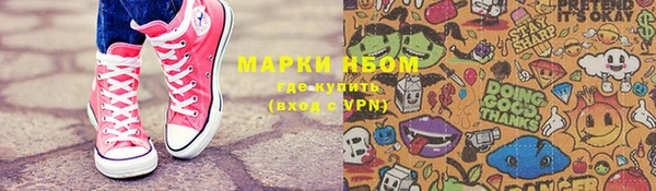 индика Баксан