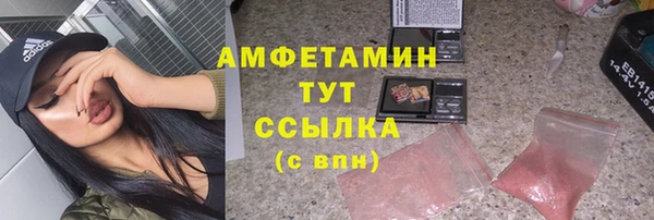 индика Баксан