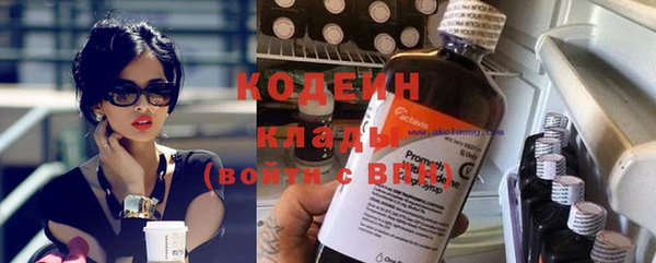 индика Баксан
